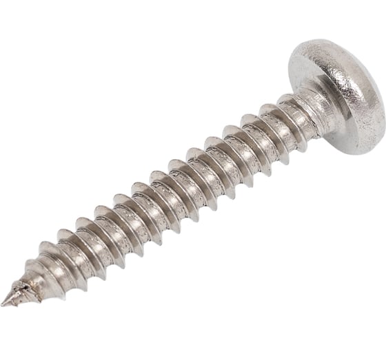 Саморез Море-Метизов полукр/гл. ИСО 14585 DIN 7981 А2 C 4,2x25 TX20 мм, 10 шт. SAM7981A24225T2010M