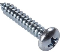 Саморез Море-Метизов полукр/гл. ИСО 14585 DIN 7981 А2 C 4,2x25 TX20 мм, 100 шт. SAM7981A24225T20100M