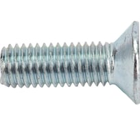 Винт ЦКИ DIN 965, М10х30 Ц, аналог ГОСТ 17475-80, уп. 100 шт. 62925
