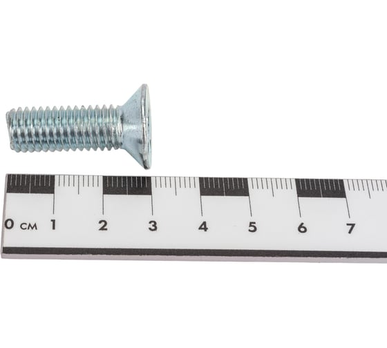 Винт ЦКИ DIN 965, М10х30 Ц, аналог ГОСТ 17475-80, уп. 100 шт. 62925