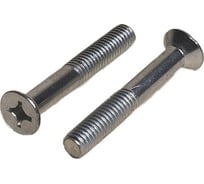 Винт ЦКИ DIN 965, М5х40 A2, Ph2, уп. 100 шт. 63622