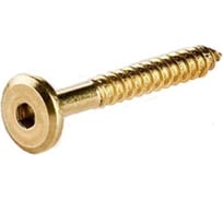 Мебельный шуруп ЦКИ 6.3х60 латунир., HEX 4.0, уп. 50 шт. 62256