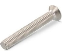 Винт ЦКИ DIN 965, М6х20 A2, TX30, уп. 100 шт. 63625