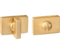 Завертка к ручкам Ренц золото матовое сатинированное INBK 01 SSG