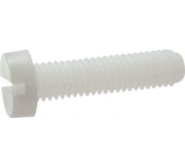Винт ЦКИ DIN84 М6х40 полиамид SL 10х1.6 уп. 100 шт. 63236