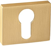 Накладка на цилиндр Ренц золото матовое сатинированное INET 01 SSG