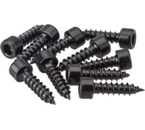 Саморез с шестигранной головкой AurA диаметр 4 мм, длина 25 мм, 500 шт. в упак., черный WGS-425B