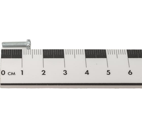 Винт ЦКИ DIN84 М3х12 Ц SL 5.0х0.8 уп. 2000 шт. 61735