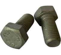 Болт boltnn.ru DIN961 (ISO 8676) М12x1,25x40 8.8 цинк-ламель серый 480 часов 10 шт 4687206379374