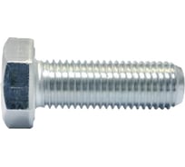 Болт boltnn.ru DIN961 (ISO 8676) М12x1,5x25 10.9 цинк-ламель серый 480 часов 20 шт 4687206379251