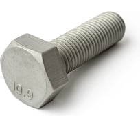 Болт boltnn.ru DIN961 (ISO 8676) М12x1,5x25 10.9 цинк-ламель серый 480 часов 20 шт 4687206379251