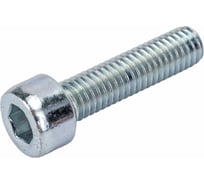 Винт boltnn.ru DIN 912 M6x12 8.8 цинк 50 шт 4687206379831