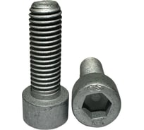 Винт boltnn.ru DIN912 (ISO4762) М10x30 10.9 цинк-ламель серый 480 часов 25 шт 4687206379114