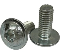 Винт с фланцем boltnn.ru ISO 7380-2 М5x12 10.9 цинк, TORX25, 20 шт. 4687206380264