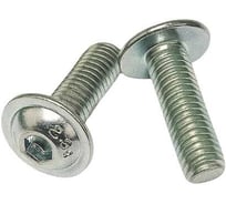 Винт с фланцем boltnn.ru ISO 7380-2 М5x16 8.8 цинк, 500 шт. 4687206380271