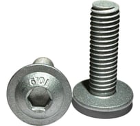 Винт с фланцем boltnn.ru ISO 7380-2 М10x30 8.8 цинк-ламель серый 480 часов, 100 шт. 4687206380851