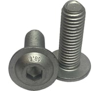 Винт с фланцем boltnn.ru ISO 7380-2 М10x30 8.8 цинк-ламель серый 480 часов, 25 шт. 4687206380875