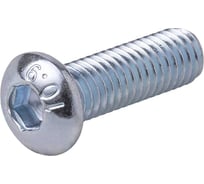 Комплект винтов с полукруглой головкой АЛТЕРВИА M6x12 DIN 7380, 10 шт. A00830.106012.10