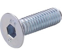 Комплект винтов с потайной головкой Алтервиа M6x16 DIN 7991, 10 шт. A00831.106016.10