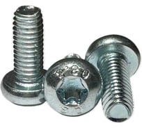 Винт boltnn.ru DIN 7500 C-T М5x12 цинк, TORX25, 250 шт. 4687206395114