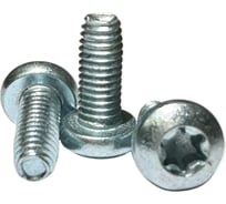 Винт boltnn.ru DIN 7500 C-T М5x12 цинк, TORX25, 1000 шт. 4687206395091