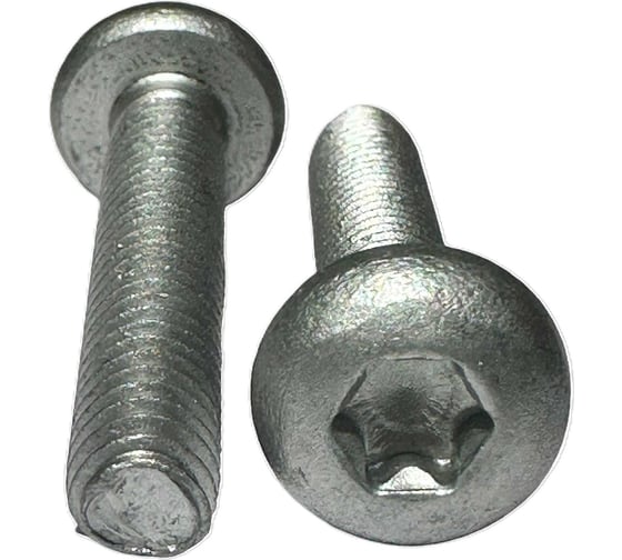 Винт boltnn.ru DIN 7500 C-T М6x30 цинк-ламель серый 480 часов, TORX30, 250 шт. 4687206395237