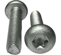 Винт boltnn.ru DIN 7500 C-T М6x30 цинк-ламель серый 480 часов, TORX30, 50 шт. 4687206395251