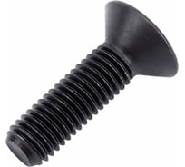 Винт ЦКИ DIN7991 М10x40 10.9 ОКС HEX 6.0 150 шт 504319099