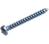 Саморез ЦКИ DIN7981 4.2x6.5 остроконечный Ц Ph2 20000 шт 923190999