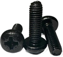 Винт boltnn.ru DIN 7500 C-Z М6x20 оксид черный PZ3 20 шт 4687206395169