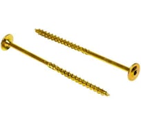 Конструкционный саморез по дереву HIMTEX желтый тарельчатая голова NORM Torx 30 6x100 (50 шт.) fix 06100Whc