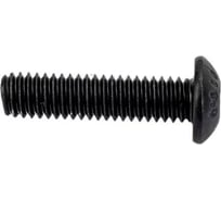 Винт ЦКИ ISO7380 М5x35 10.9 ОКС HEX 3 10 шт 428599007