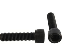 Винт ЦКИ DIN912 М10x60 ПОЛН.РЕЗЬБА 12.9 ОКС HEX 8.0 2 шт 547979007