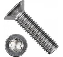 Винт ЦКИ DIN965 М6x12 Ц TX 30 25 шт 766009007