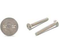 Винт ЦКИ антивандальный ART.9103 М5x12 A2 SP10 5 шт 712829007