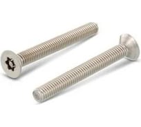 Винт ЦКИ антивандальный ART.9123/88117 М4x40 A2 TX TR 20 DIN7991 5 шт 713639007