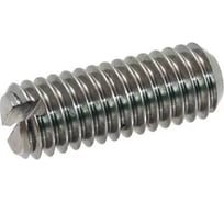 Винт ЦКИ установочный DIN438 М 3x3 A2 25 шт 637699007