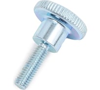 Винт ЦКИ DIN464 М3x10 A1 2 шт 693179007