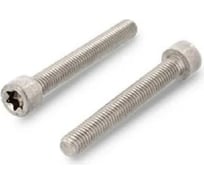 Винт ЦКИ ISO14579 М3x8 A2 TX 10 аналог DIN912 50 шт 702999007