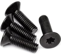 Винт boltnn.ru DIN 965 М6x12 цинк-никель черный, 480 часов, TORX30, 250 шт. 4687206398559