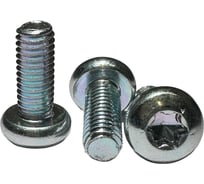 Винт boltnn.ru DIN 7985 М5x12 цинк, TORX25, 50 шт. 4687206398702