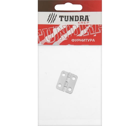 Карточная петля TUNDRA 22х24 мм, покрытие цинк, 1 шт. 5299342