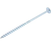 Шуруп конструкционный Tulstor PT AG с тарельчатой головкой, голубая оцинковка, TX50, 10x200 мм, 50 шт. 945756