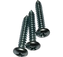 Саморез boltnn.ru DIN7981 C-H 4,2x25 цинк 100 шт 4687206428560