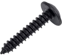 Саморез boltnn.ru DIN968 4,2x22 цинк-ламель черный 480 часов 100 шт 4687206428713