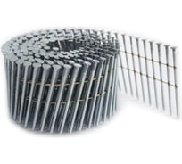 Барабанный гвоздь ForEst гладкий CNW 31/100 BK cnk 2400 штук МБ000013935