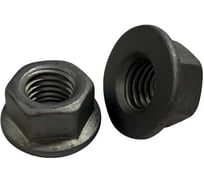 Гайка boltnn.ru DIN6923 (ISO 4161) М10 8.0 цинк-ламель серый 480 часов 200 шт 4687206444553