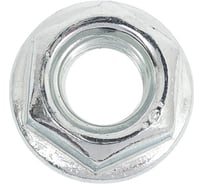 Гайка boltnn.ru DIN6923 М6 8.0 цинк с насечкой 100 шт 4687206444089