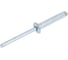 Заклепка вытяжная KLAUE St /St KSS 4.8x25mm (250 шт) УТ000000170 2