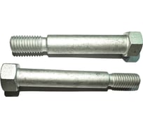 Болт boltnn.ru М14x100 РЗЗ 11.04.104 Dacromet 5 шт. 4687206446328